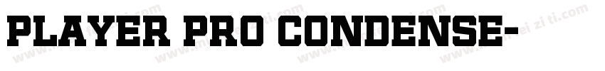Player Pro Condense字体转换
